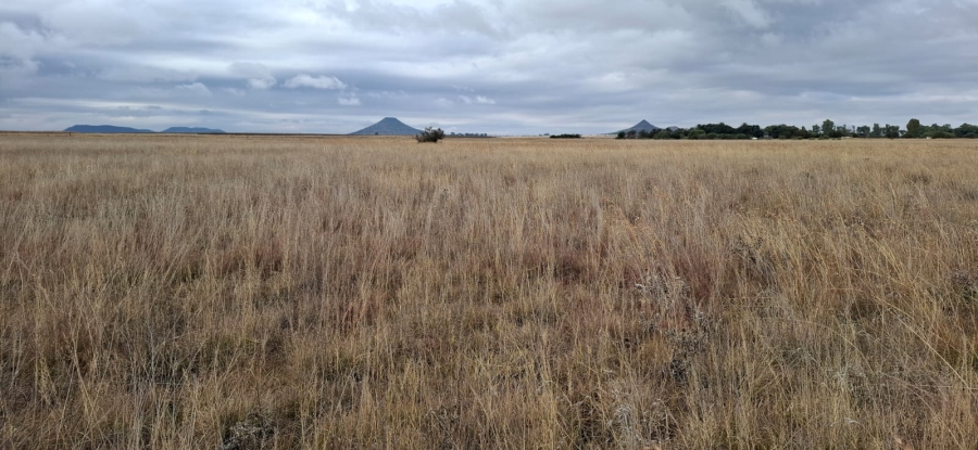 Commercial Property for Sale in Bloemfontein Rural Free State